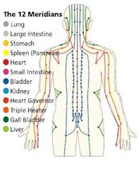 The 12 Meridians The Pathway Of Chi Energy Flow Viscambio