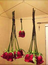 All you have to do is flip your bouquet or bunch of flowers upside down somewhere in a relatively dark area. Preserve Flowers By Spraying Hair Spray And Hanging Them Upside Down Flowers Roses Vale How To Preserve Flowers Dried Flower Arrangements Hanging Flowers