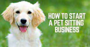 How To Start A Pet Sitting Business Thatmutt Com A Dog Blog