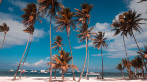 10 mejores lugares que visitar y disfrutar en Bávaro Punta Cana Republica  Dominicana