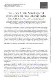 penal voluntary sector