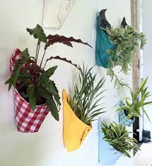 24 Ways To Hang Plants On The Wall