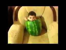 baby funny videos dailymotion up