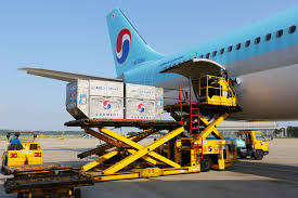 Nav atrasts cargo lietotājs,kura profils ir sasaistīts ar soc. Korean Air Named Top Cargo Airline In 2020 Air Cargo Excellence Awards