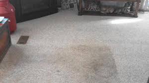 ocala carpet cleaning exles before