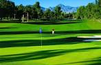 Palm at McCormick Ranch Golf Club in Scottsdale, Arizona, USA ...