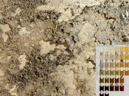 Picture Of Soil Next To A Munsell Soil Color Chart Used For