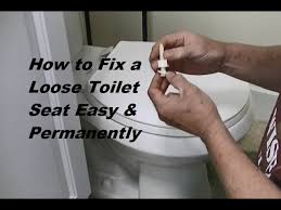 Loose Toilet Seat Easy Fix