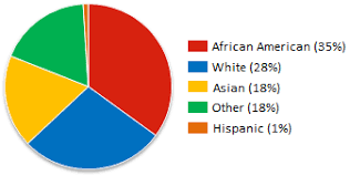 File Ethnic Groups Of Muslim Americans Png Wikimedia Commons
