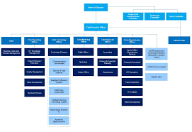 Unusual Technology Company Organization Chart Flat