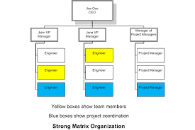 Organizational Structure Within A Company For Pmps Codeproject