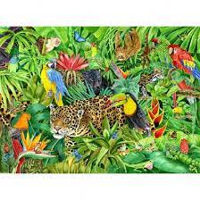 Free Rainforest Cliparts, Download Free Rainforest Cliparts png images, Free  ClipArts on Clipart Library