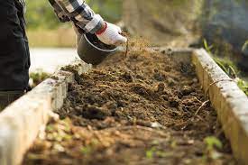 Bagged Compost For Vegetable Garden