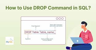 how to use drop command in sql