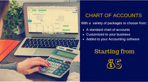 Set Up A Standard Chart Of Accounts