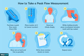Asthma Check Peak Flow Meter Chart Diagram