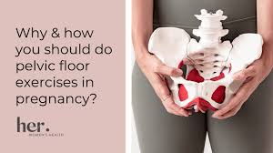 pelvic floor exercises in pregnancy