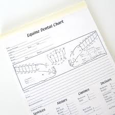 Equine Dental Instrument Dental Charts