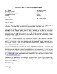 work experience letter 11 exles
