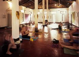 about our yoga centre purple valley yoga