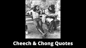 Discover the magic of the internet at imgur, a community powered entertainment destination. 65 Cheech And Chong Quotes On Success In Life Overallmotivation