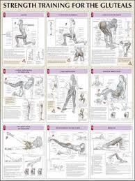 strength training for the ocks by