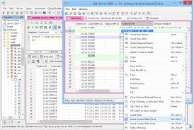 sql query yzer database ide