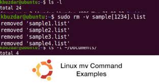 linux mv command exles