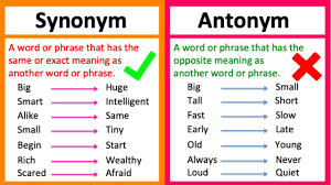 synonym vs antonym what s the