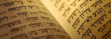 Image result for talmud;