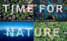 First held in 1974, it has been a platform for raising awareness on environmental issue such as marine pollution. World Environment Day 2020 Time For Nature Development Business