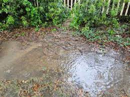 drainage problems in the garden