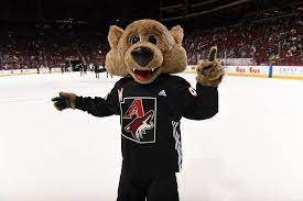 The latest tweets from @arizonacoyotes Which Nhl Mascot Would You Want With You In A Bar Fight Page 19