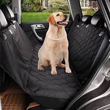 pin on best remote dog training collar reviews