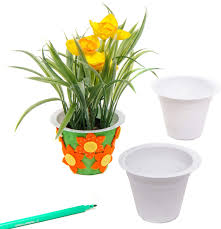 Plastic plant pots are inexpensive and lightweight but not always attractive. Baker Ross E6436 White Plastic Flower Pots Size 6 5cm For Kids To Paint Decorate Plant With Flowers For Gifts Pack Of 10 Amazon Co Uk Kitchen Home