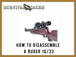how to disemble a ruger 10 22 7