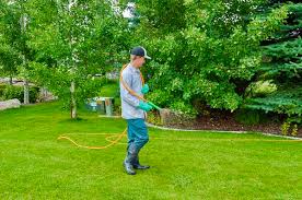We did not find results for: Professional Lawn Care Vs Do It Yourself Which Is Best For You
