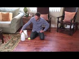 cat urine smell out of hardwood floors