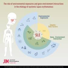 the role of environmental exposures and