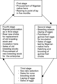 A Flow Chart Showing The Stages Of Operation In The