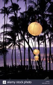 Palm Tree Lanterns On Tropical Stock Photos Palm Tree