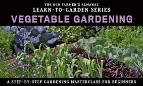 learn to garden vegetable gardening