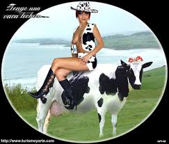 Criar uma Vaca (das que dao ou nao leite ...sabia que  Images?q=tbn:ANd9GcQBxxJWj5pA3sxAmFbATwvQODkDpfvsfXD2Ys7AotVefrtxYXD4