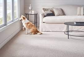 profile anderson tuftex carpet