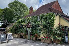 dog friendly pubs in new forest