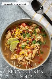 Searching for yummy chicken recipes to serve up for dinner? Slow Cooker Spicy Chicken Soup Slow Cooker Gourmet