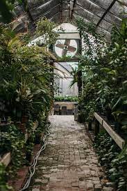 HD wallpaper: photo of greenhouse ...
