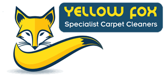 yellow fox carpet cleaning yellow fox