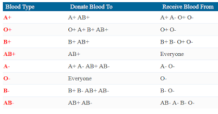 Blood Type Chart Facts And Information On Blood Group Types