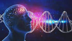 Who are you? ... Are you your body, your DNA, your brain, your mind and your thoughts? — Steemit